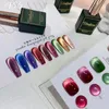 Vendeei 9Colors Winter Crystal Cat Eye Gel nagellack 15 ml Bright Flash Magnet Gel Semi Permanent Soak Off UV LED Nail Polish 240129