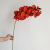 Decorative Flowers 36.6" Fake Orchids In Orange-10heads Artificial Phalaenopsis Orchid Stem DIY Office/Wedding/Home/Holiday/Kitchen