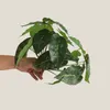 Decorative Flowers Artificial Grass Green Begonia Plants For Home Decoration Plantas Artificiales Para Decoracion Fake Plastic