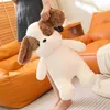 Dog Falkie Long Ear Bunny Plush Juguete Kawaii Rabbit Plush Kids Doll for Children Gift 240131