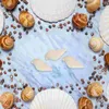 Vasos 100pcs branco mini mar shell conchas artesanato casamento jardim aquário decoração