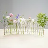 Hinged Flower Vase Clear Test Tubes Flower Pot Creative Vase Floral Hydroponic Container For Home Desktop Dining Table Decor 240122