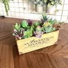 Dekorativa blommor 18 Pack Artificial Succulent Plants Premium Fake Mini Flocking Realistic Cactus Lotus Landscape Garden Opotted Desktop