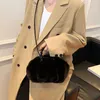 Sacs de taille hiver sac à main femme marque fausse fourrure chaude pochette à main femme en peluche bandoulière épaule sac de luxe à la mode