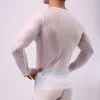 Herren-Unterhemd mit Streifen, atmungsaktiv, schlankes Netz-T-Shirt, durchsichtig, durchsichtig, mit langen Ärmeln, sexy transparentes Hemd, Unterwäsche 240119