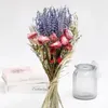 Kwiaty dekoracyjne ślub naturalny układ bukiet suszony lawendowy uzda wewnętrzny w kuchni na świeżym powietrzu stół biurowy stół kwiatowy
