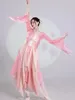 Sahne Giyim Klasik Dans Dans Elbisesi Uygulama Kadın Zarif Peri Nezaket Giysileri Üst uzun Çin Klasik Performans Takım