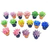 Decorative Flowers 16 Pcs Miniature Succulents House Accessories Tiny Bonsai Ornament Plant Model Decorate Potted Micro Landscape Decoration