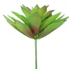 Fleurs décoratives plante simulée Kalanchoe Tomentosa plantes succulentes artificielles bonsaï variété aléatoire sans Pot de fleur