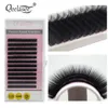 All Sizes 20 Pcs Black Mixed Individual Eyelash Extension Set Mink Silk Fake Eye Lashes in South Korea Materials 240119