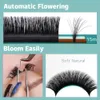 Qeelasee 4 lådor med autoblommande snabb blommande fläkt Easy Eyelashes 240130