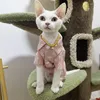 Costumi per gatti Sphynx Vestiti comodi e di alta qualità per cani di piccola taglia Devon Rex senza peli