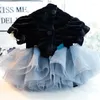 Dog Apparel Black Color Fashionable Dresses For 2024 Autumn And Winter Princess Style Dress Pet Wedding Clothes Small