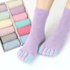 Women Socks Colorful Five Finger Soft Elastic Middle-tube Casual Breathable Split-toe Cotton Sock Fashion Daily