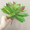 Fleurs décoratives plante simulée Kalanchoe Tomentosa plantes succulentes artificielles bonsaï variété aléatoire sans Pot de fleur