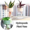 Vasos 2 pcs vaso de plástico hidropônico vaso de plantio de água simples forma redonda transparente recipiente elegante plantador aquapônico