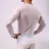 Herren-Unterhemd mit Streifen, atmungsaktiv, schlankes Mesh-T-Shirt, durchsichtig, durchsichtig, mit langen Ärmeln, sexy, transparentes Hemd, Unterwäsche 240118