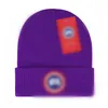 Senaste designer stickad hatt pullover varm ull hatt kall hatt vinter hatt capello casual hatt skalle hatt avslappnad fint mönster fint mönster Q19