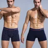 UNDUTANTS Srboniotos Marka 4 Parça Mens Underware Erkekler Boxer Pamuk İç Çamaşır Erkek Boksörler Cueca 365 Şort Panties YQ240214