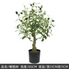 Fiori decorativi Grandi rami di ulivo e frutti artificiali Pianta finta In vaso Home Office Soggiorno Pavimento Bonsai 60-240 cm