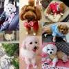 4PCSSet Pet Dogs Shoes For Samll Dogs Autumn Winter Outdoor Warm Antislip Snow Boots Breattable Casual Puppy Canvas Sneakers 240119