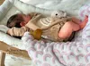 48CM Reborn Doll Handmade Very Lifelike Sleeping Baby Laura 3D Skin with Hand-Root Hair Visible Veins High Quality Toys 240131