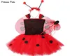 1set Ladybug Tutu Dress Baby Girl Birthday Party Dress Kids Halloween Lady Bug kostymdräkt Ladybird Girls Fancy Dress Up 114 T4611391