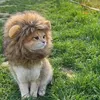 Cat Costumes Lion Mane Kitten Dress Up Peruka Myble Fancy Fancy Fair Hat na Boże Narodzenie Halloween