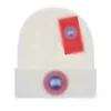 Neuester Designer gestrickter Hut Pullover warmer Wolle Hut kalte Hut Winterhut Capello Casual Hut Hut Casual Fine Muster Fein Muster Q4