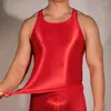 Conjuntos de sutiãs homens óleo brilhante transparente sem mangas sexy tanque exótico colete esporte musculação yoga colheita tops para homem roupas