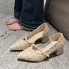 Scarpe eleganti Scarpa singola stile francese Tacchi spessi da donna Nuova primavera Versatile Dolce brezza da sera A punta Temperamento elegante Medio alto