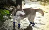 En kaliteli 100 su geçirmez sıcak büyük köpek ayakkabıları kış büyük evcil hayvan açık uzun köpek botları köpekler için kaymaz 4pcsset 240129