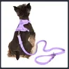 Hundegeschirr und Leine-Set, keine Zugweste, wasserdichtes PVC-Halsband für kleine, mittelgroße und große Hunde 240131