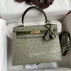 10S Tasche Bag Handtaschen Designer Bag Mode Luxus -Geldbörsen Womens Real Strostrich mit Krokodilhaut Ladies 25 cm mit gestempelter Schal -Schal -Pferd Charme mit Box
