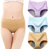 Women's Panties Seamless Underwear 3pc Menstrual For Women Lace Briefs Mid Padded