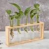 Kreative transparente Vase aus Glas, Holzrahmen, Hydrokultur-Blumentopf, Bonsai für Haushalt, Wohnzimmer, Büro, zarte Dekoration 240122