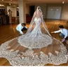 جديد 2019 3M Long Veil Lace Depiqued Cathedral Length Wedding Veil Bride Veils Hair Taughy مع مشط مخصص Made5528768