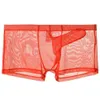 Onderbroeken Sexy Heren Transparante Trunks Ondergoed Ultradunne See Through Boxer Briefs Mesh Olifant Neusslipje Ademend Homme Slip YQ240214