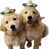 Dog Apparel 2 Pcs Hats Mexican Sombrero Wear-resistant Puppy Delicate Pet Household Straw Decorative