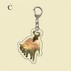 Keychains 2024 Fun Toast Cat Key Holder Ryggsäck Decor Po Album Pendant Keychain AirPods Akryl Retro Funny Cute Ins