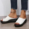 Slippers Wiggen Vrouwen Platform 2024 Zomer Mid Hakken Slippers Mode Peep Toe Strand Sandalen Slingback Zapatos Mujer Slides