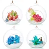 3612 pezzi portacandele in vetro trasparente fiore appeso palla vaso luce da tè per la decorazione domestica della festa nuziale 240127