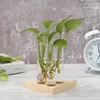 Kreative transparente Vase aus Glas, Holzrahmen, Hydrokultur-Blumentopf, Bonsai für Haushalt, Wohnzimmer, Büro, zarte Dekoration 240122