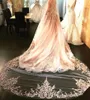 Luxe One Layer Bridal Veils Falls Billings on Lace Edge Hem Applique Cathedral Lengte Tulle Wedding Veil met Comb7009559