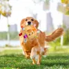 Plush Dog Vocal Toy Ball Funny Interactive Pet Toys With Bells Cleaning Tooth Chew Toy för små stora hundar Katter Valp Plaything 240118