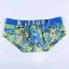 Underpants Sexy Briefs Digital Print Ice Silk Mesh Hole Men's Underwear Gay Brief Men U Convex Bikini