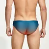 Sous-vêtements XXL Impression Slips pour hommes Taille basse Knickers Respirant Sexy Sous-vêtements de bain Culottes de plage Sans couture Élastique