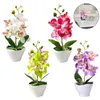 Decorative Flowers Artificial Phalaenopsis Fake Bonsai Potted Plant Flower Orchid Floral Home Decor Wedding Decorations Ornaments