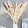 Decorative Flowers Dried Flower Bouque With Small Reed Combination DIY Arrangement For Home Decor Boho Wedding Decoration Table Canterpiece