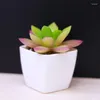 Flores decorativas simuladas planta suculenta abacaxi flor de lótus ornamental bonsai cor artificial em vaso